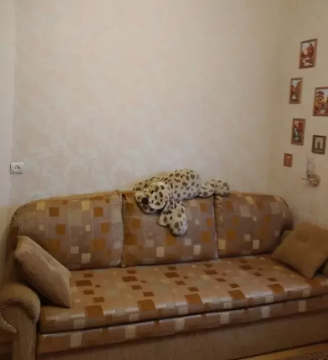 Квартира в Ближнем Замостье Квартира в Ближнем Замостье